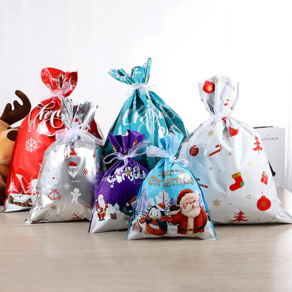 Hollira Christmas Drawstring Gift Bags