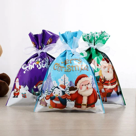 Hollira Christmas Drawstring Gift Bags